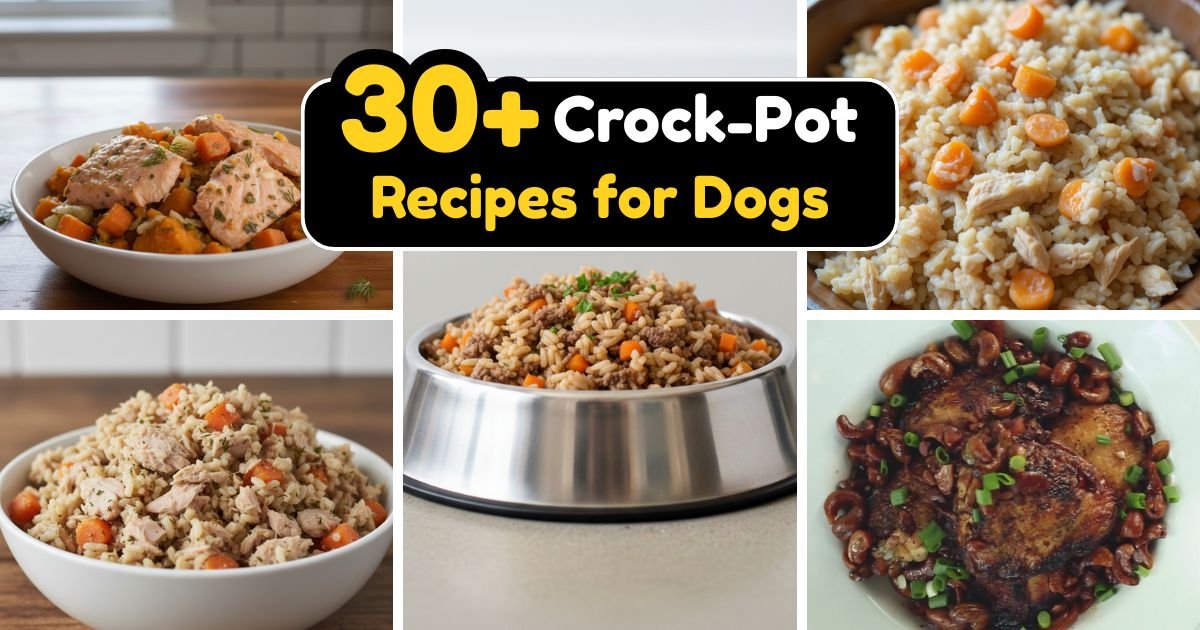 Crock-Pot Recipes for Dogs