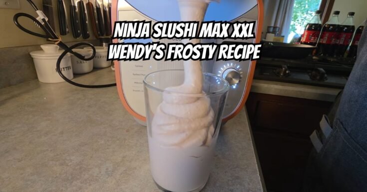 Ninja SLUSHi Max XXL Wendys Frosty Recipe